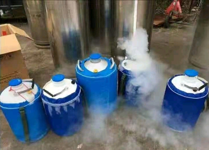 干冰保溫箱 PE材質干冰...